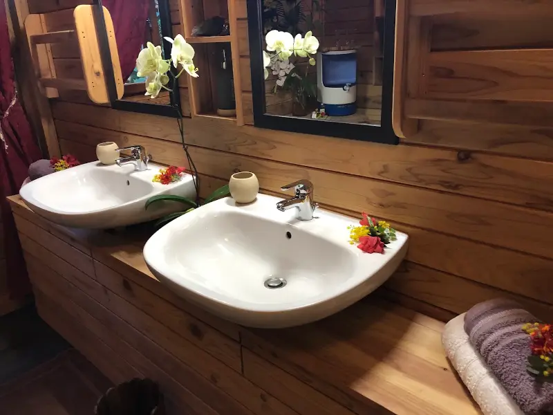 Salle de bains de la chambre d'hôtes Les Mimosas : deux lavabos, orchidée, eau chaude solaire